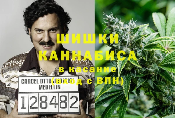 PSILOCYBIN Заволжск
