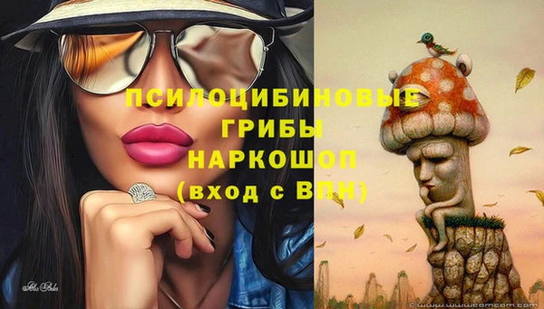 ECSTASY Алексин